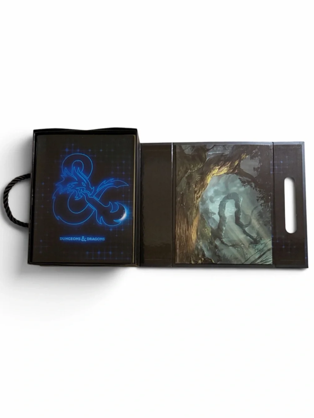 Dungeons & Dragons 5th Edition Campaign Case-Terrain